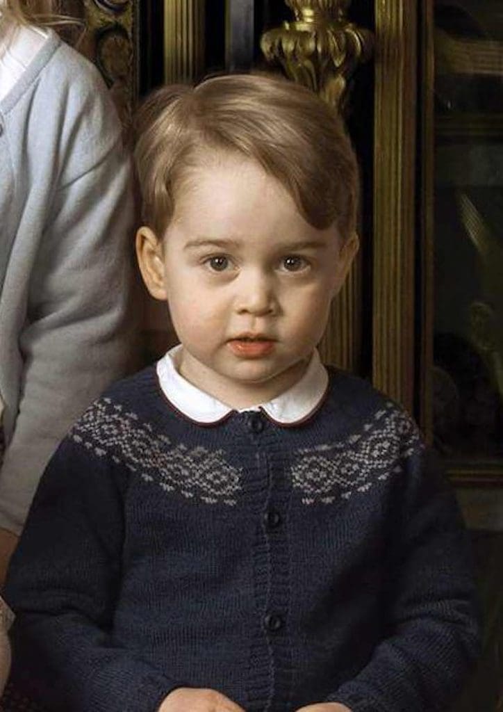 A part of the photograph by Annie Liebowitz taken for the Queen's 90th birthday