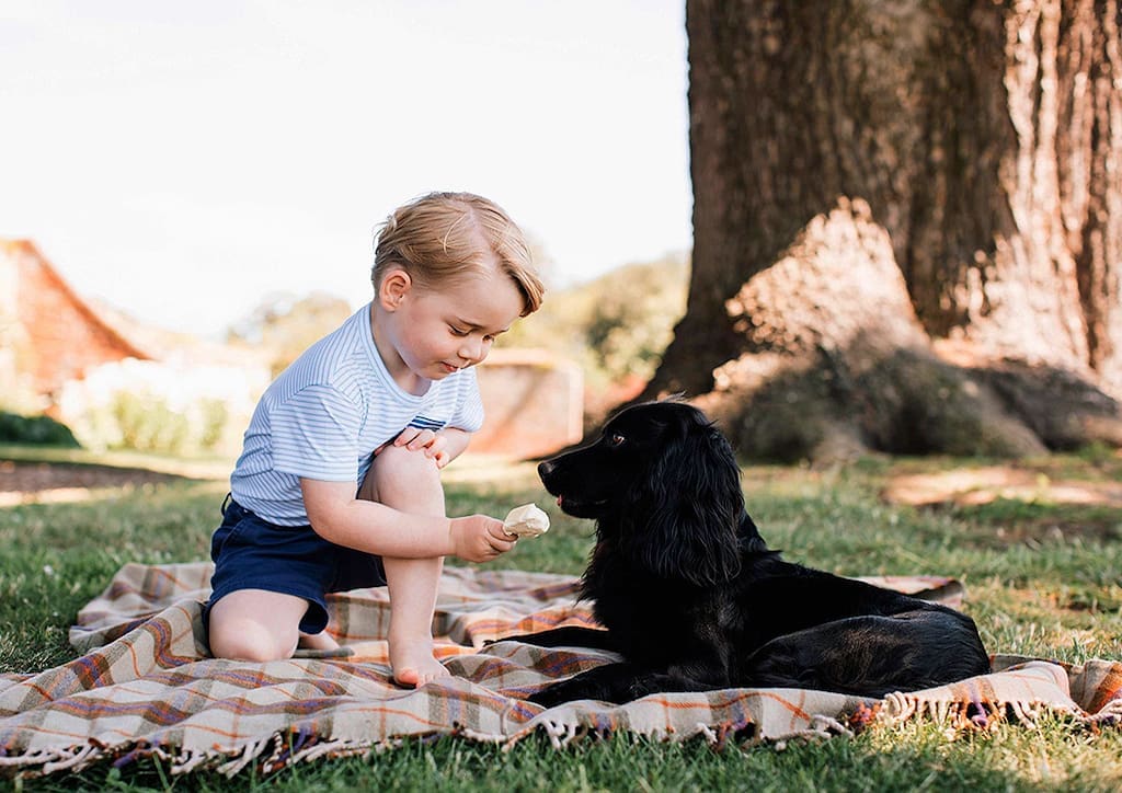 For George's 3rd Birthday, the palace released playful images of the prince in playwear in their gardens