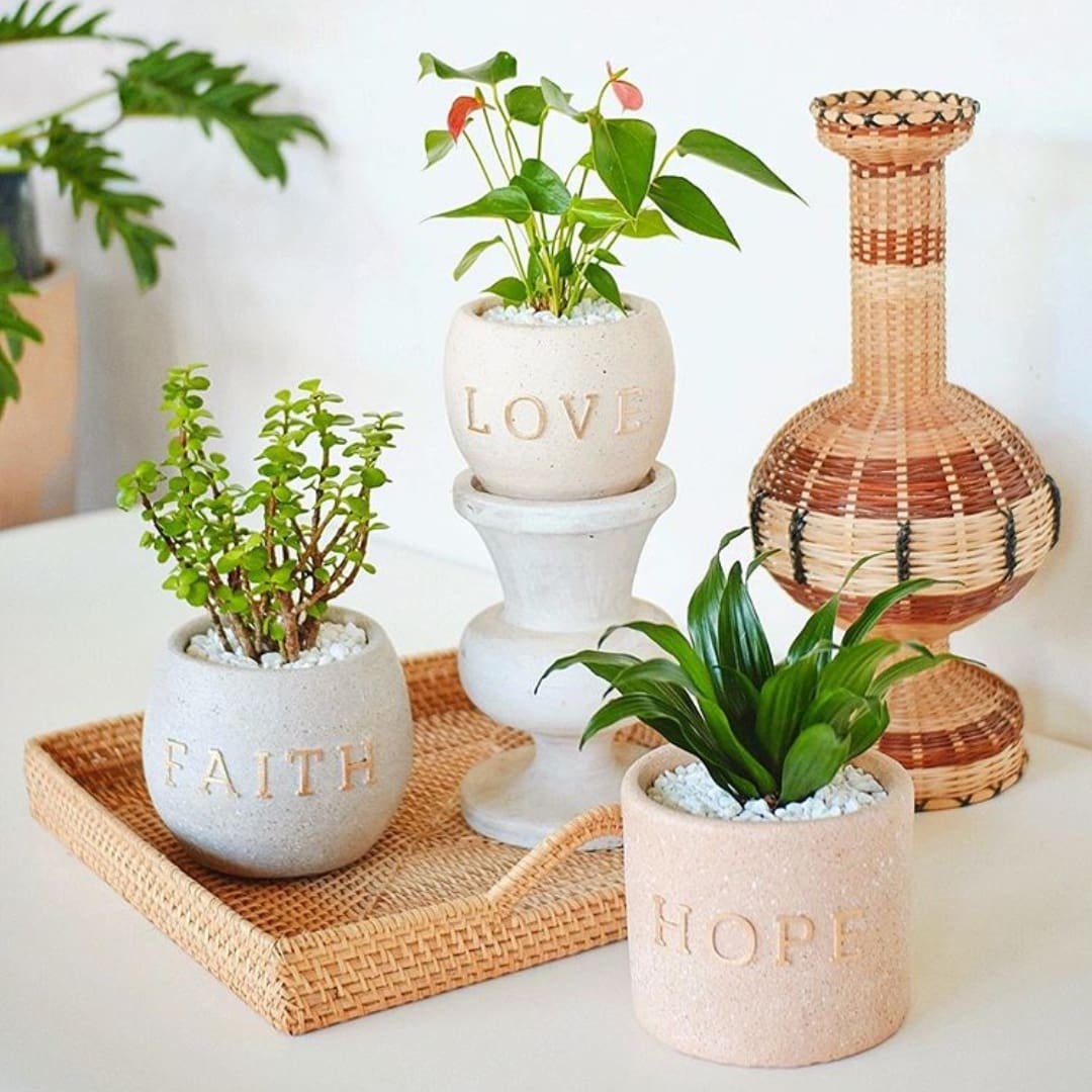 Nest Plant Studio