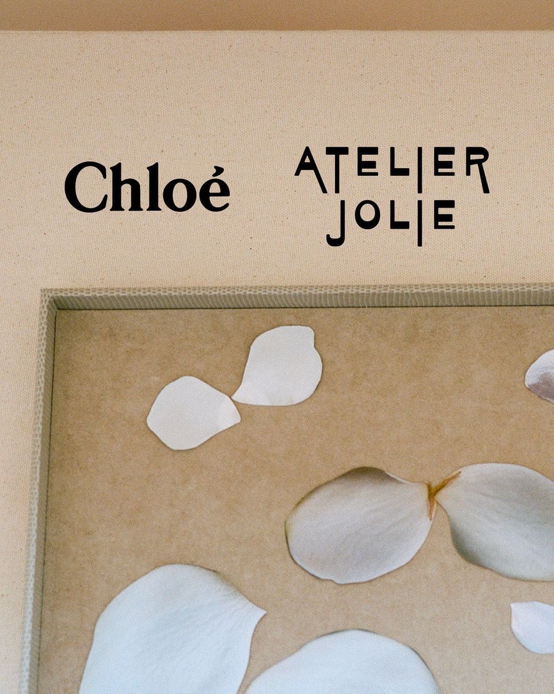 Atelier Jolie x Chloe