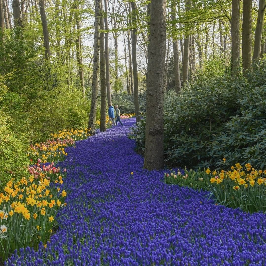 Most Beautiful Gardens In The World