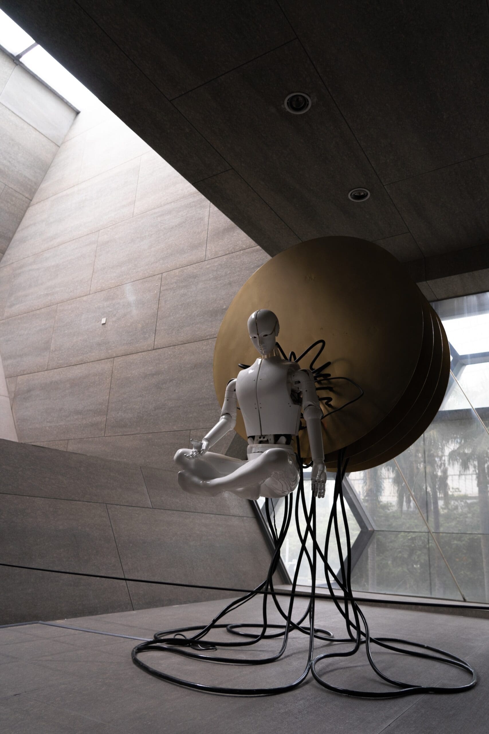 Bryan Johnson believes that AI will aid in the next stage of human evolution