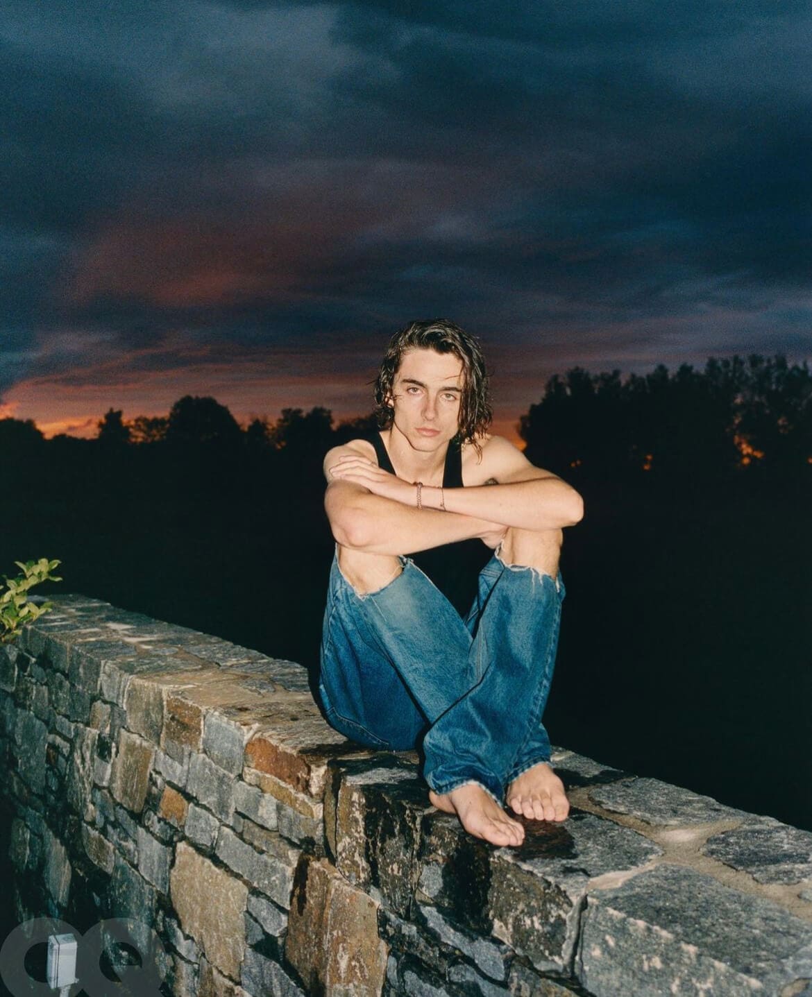 Timothée Chalamet and a nice sunset background.