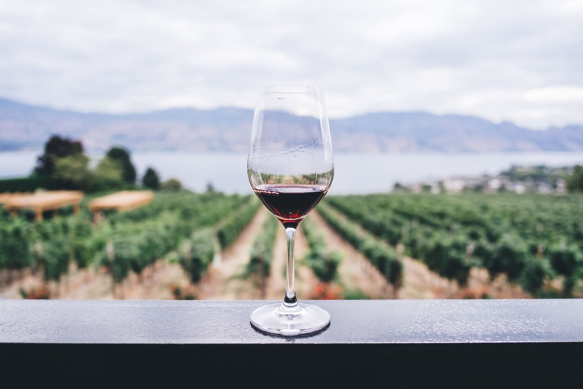 Winegrowers in France are declaring an “economic war” due to the proliferation of Spanish wines