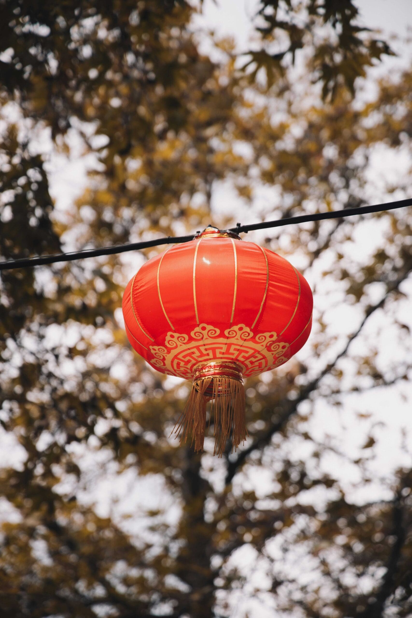 Red and gold are the lucky colors for the Lunar New Year