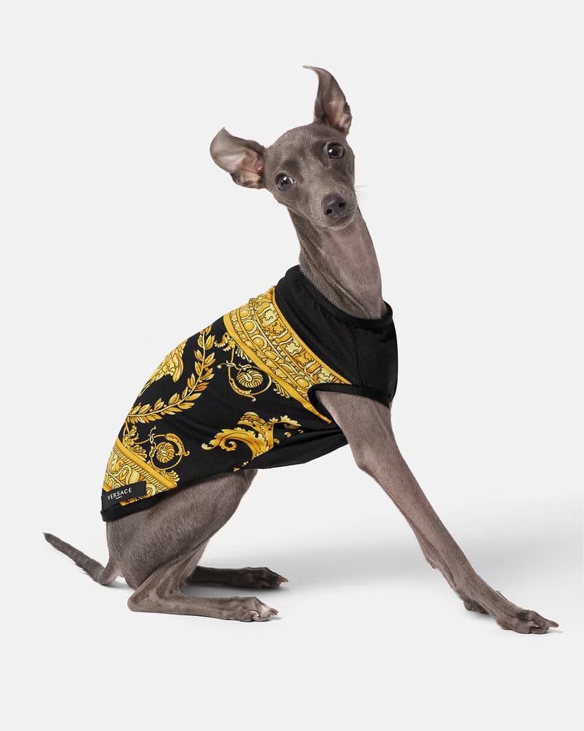 I ♡ Baroque Pet t-shirt