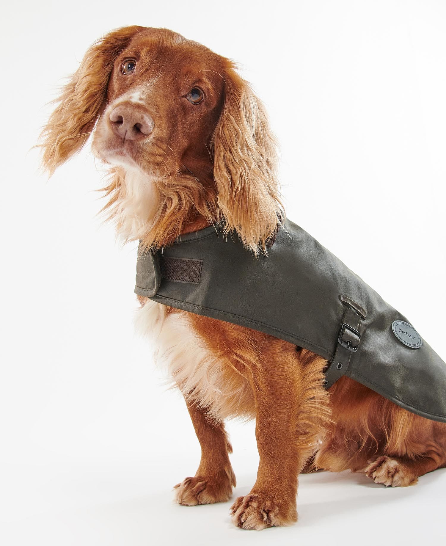 Wax Dog Coat