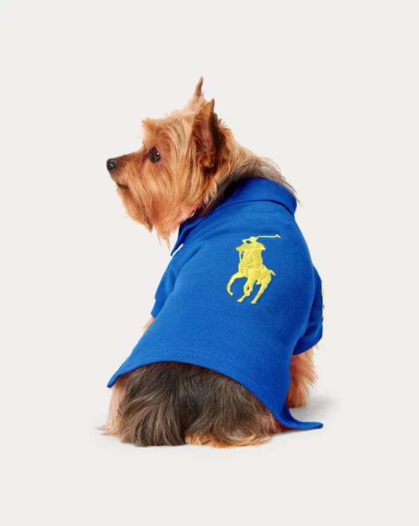 The Cotton Mesh Dog Polo Shirt and Big Pony Mesh Dog Polo Shirt