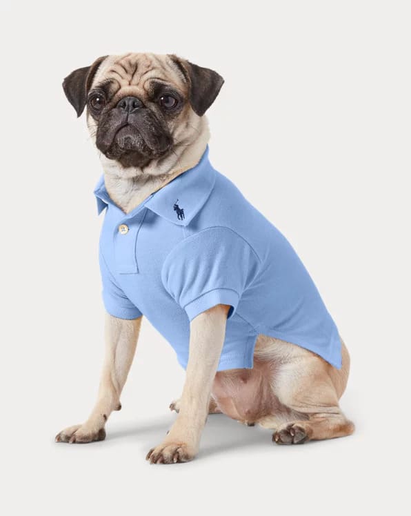 The Cotton Mesh Dog Polo Shirt and Big Pony Mesh Dog Polo Shirt