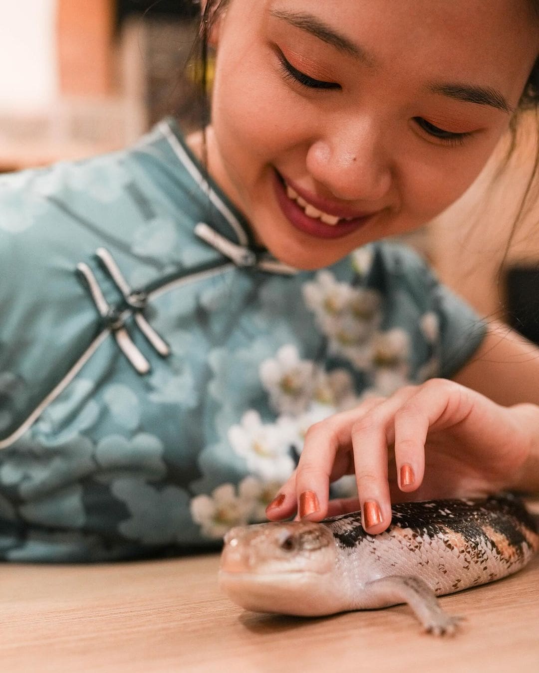 Snakes and lizards abound in Taipei’s Pythonism