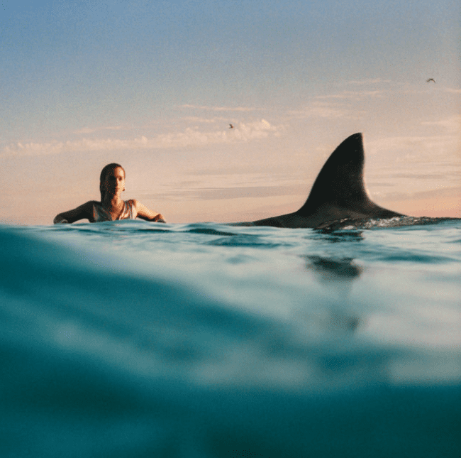 Dua Lipa and Ariana Grande also did not receive as much credit as fans expected for their 2024 albums