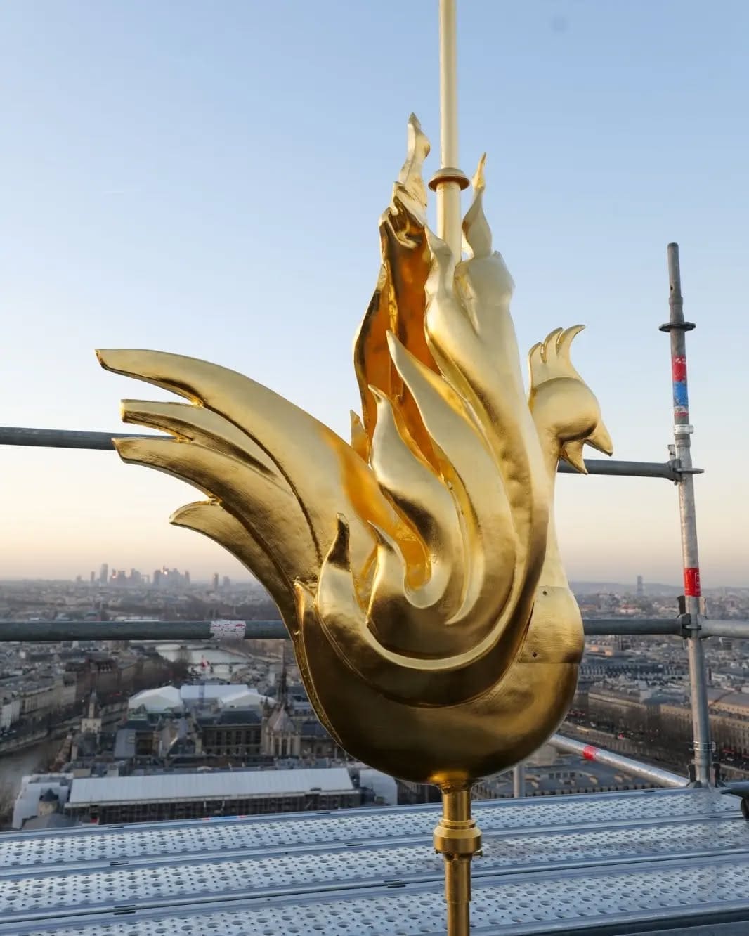 Notre Dame golden rooster