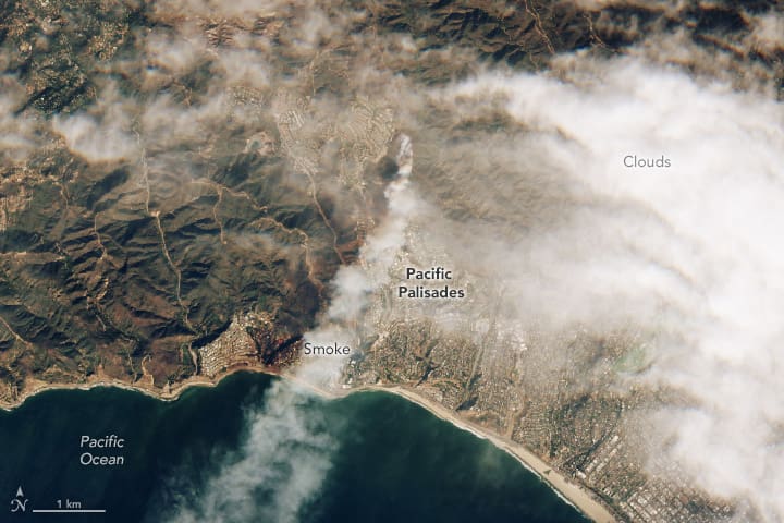 Smoke from the wildfire at Pacific Palisades, Los Angeles on January 7, 2025