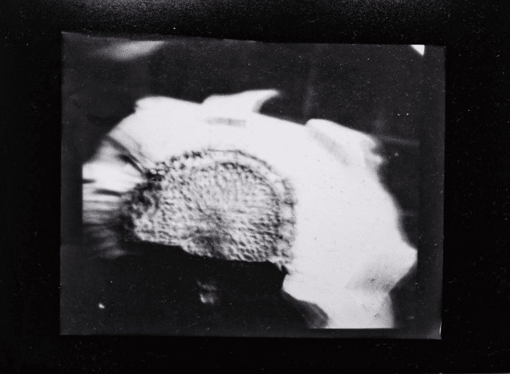 "Bawang" and "Kamatis" Capture and Release Space Encounters Ed Simon