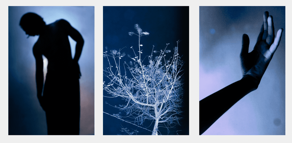 "Blue" (triptych) Cru Camara Capture and Release Space Encounters