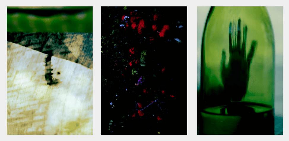 "Green" (triptych) Cru Camara Capture and Release Space Encounters