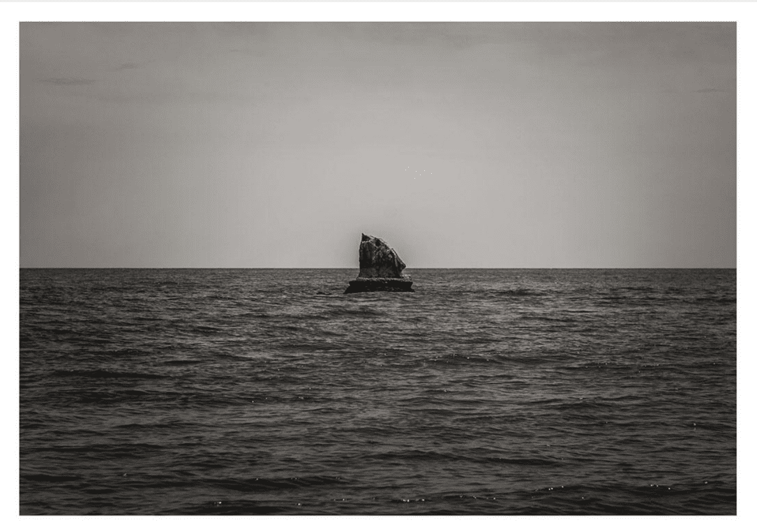 "Home I"; "Home II"; and "Puerto Princesa, Palawan" Toto Labrador Capture and Release Space Encounters