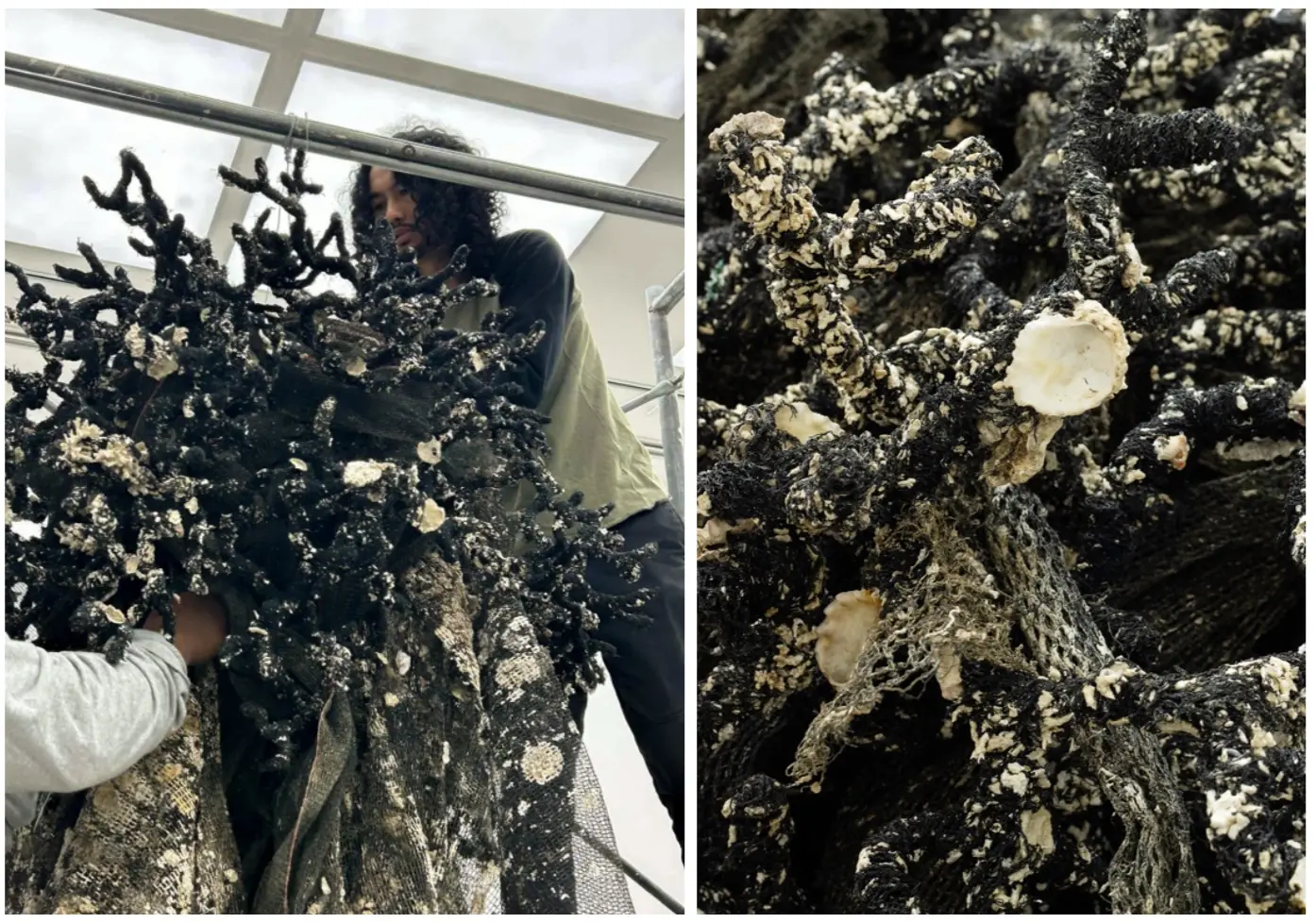 Poklong Anading working on “recruit (no. 2)” (2025, recovered fishing net with attached seashells and marine mineral traces, wire, 3D print, nylon string, twist tie, cable tie, glue, screws, nuts and polyurethane topcoat)