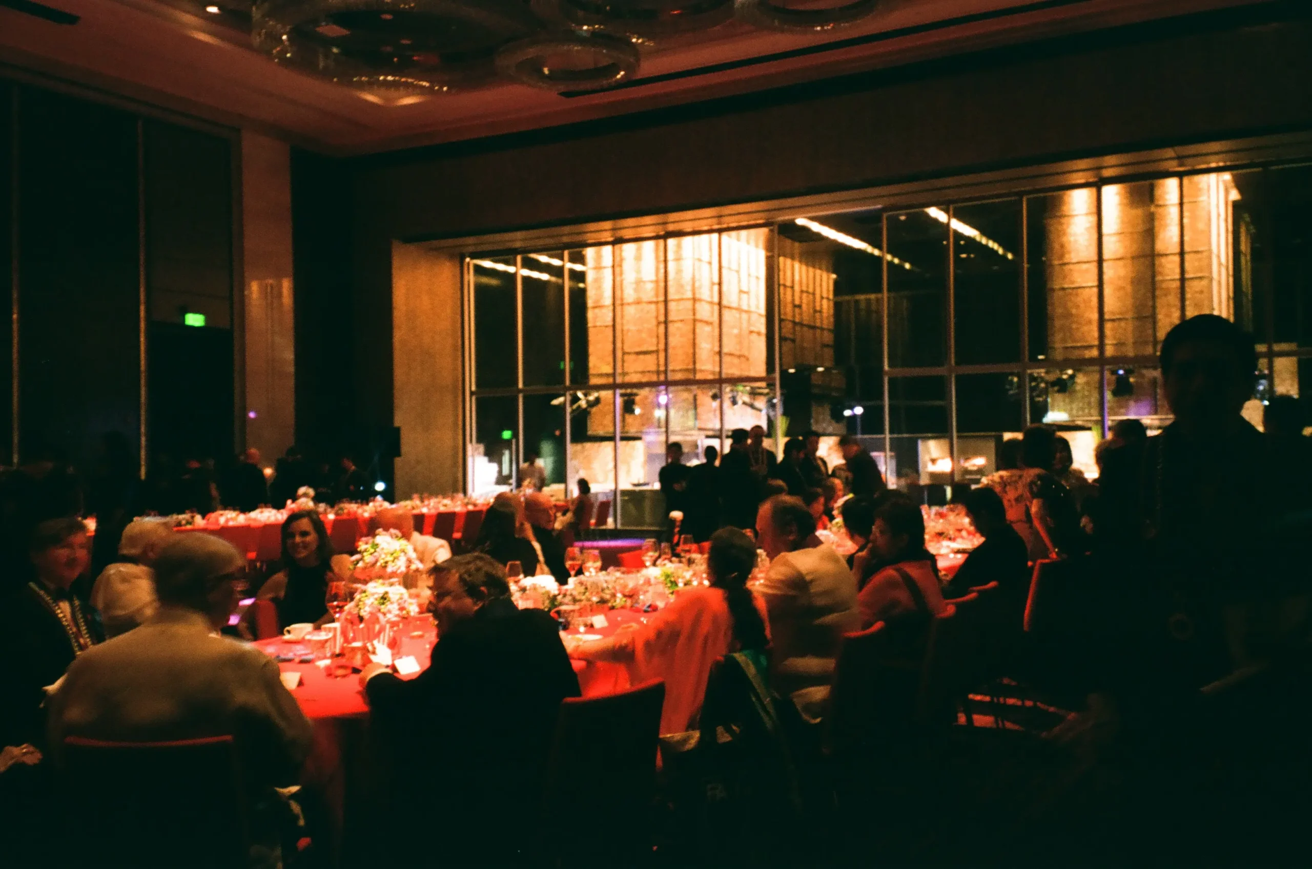 Film photography by the author, shot using Kodak ColorPlus 200 (35mm)