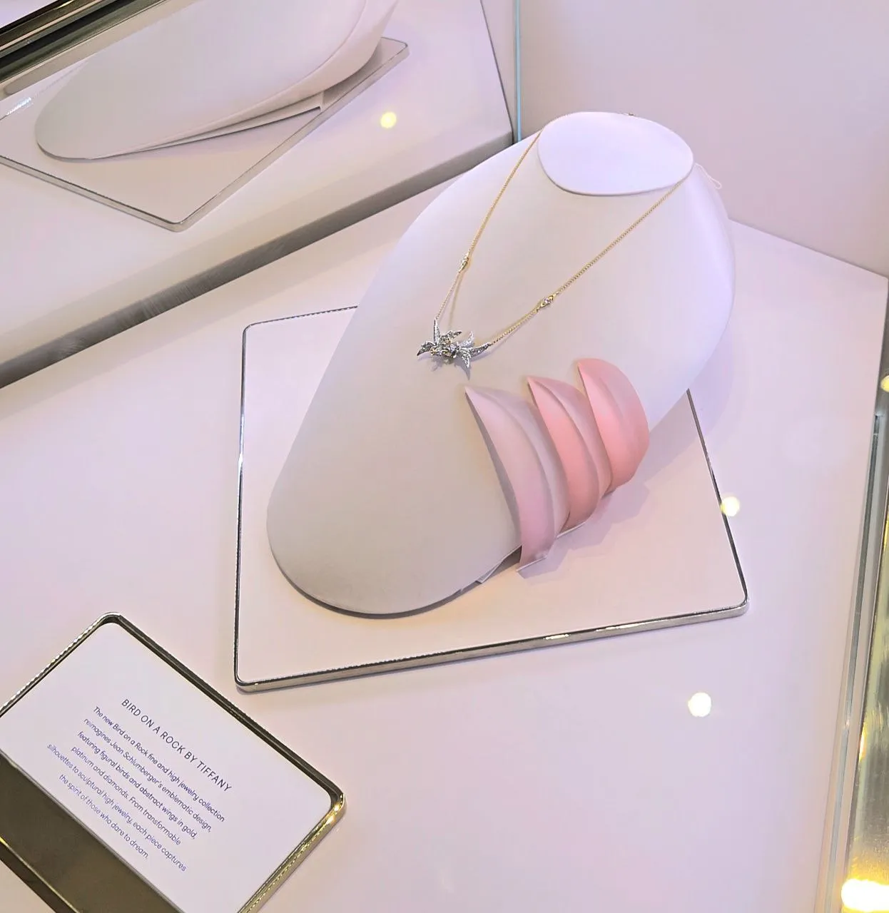 Store Opening, Reopening, and New Launches This September