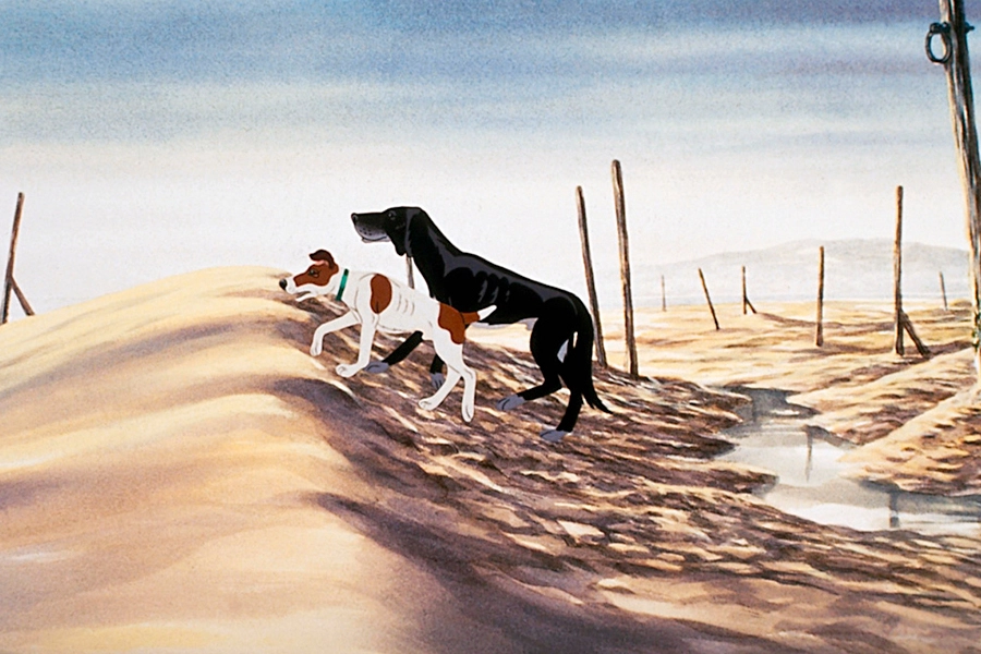 10 Adult Animated Works Worth Watching