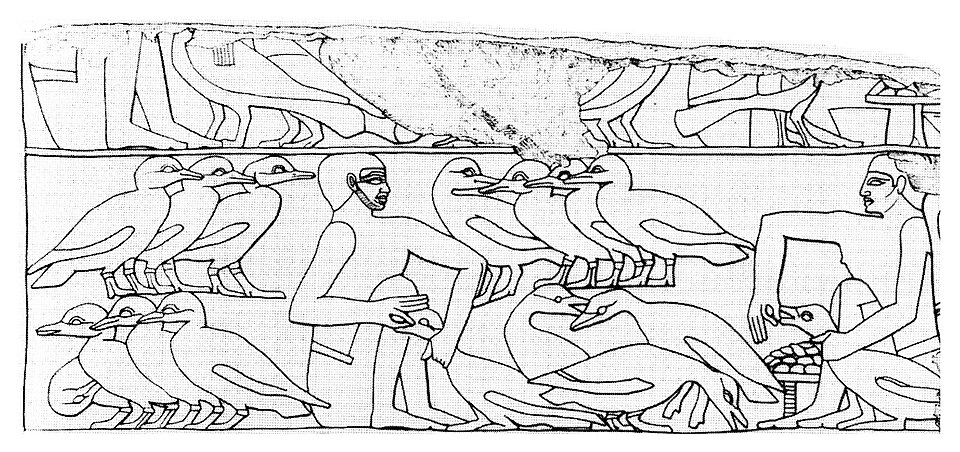 Today’s Luxury Foods Weren’t Always Reserved for the Rich