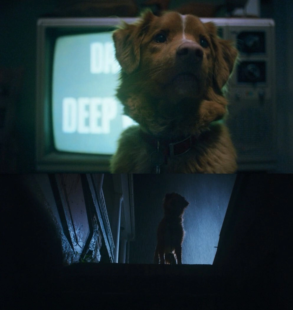 Movie Review: “Good Boy” Finds Horror In Helpless Devotion