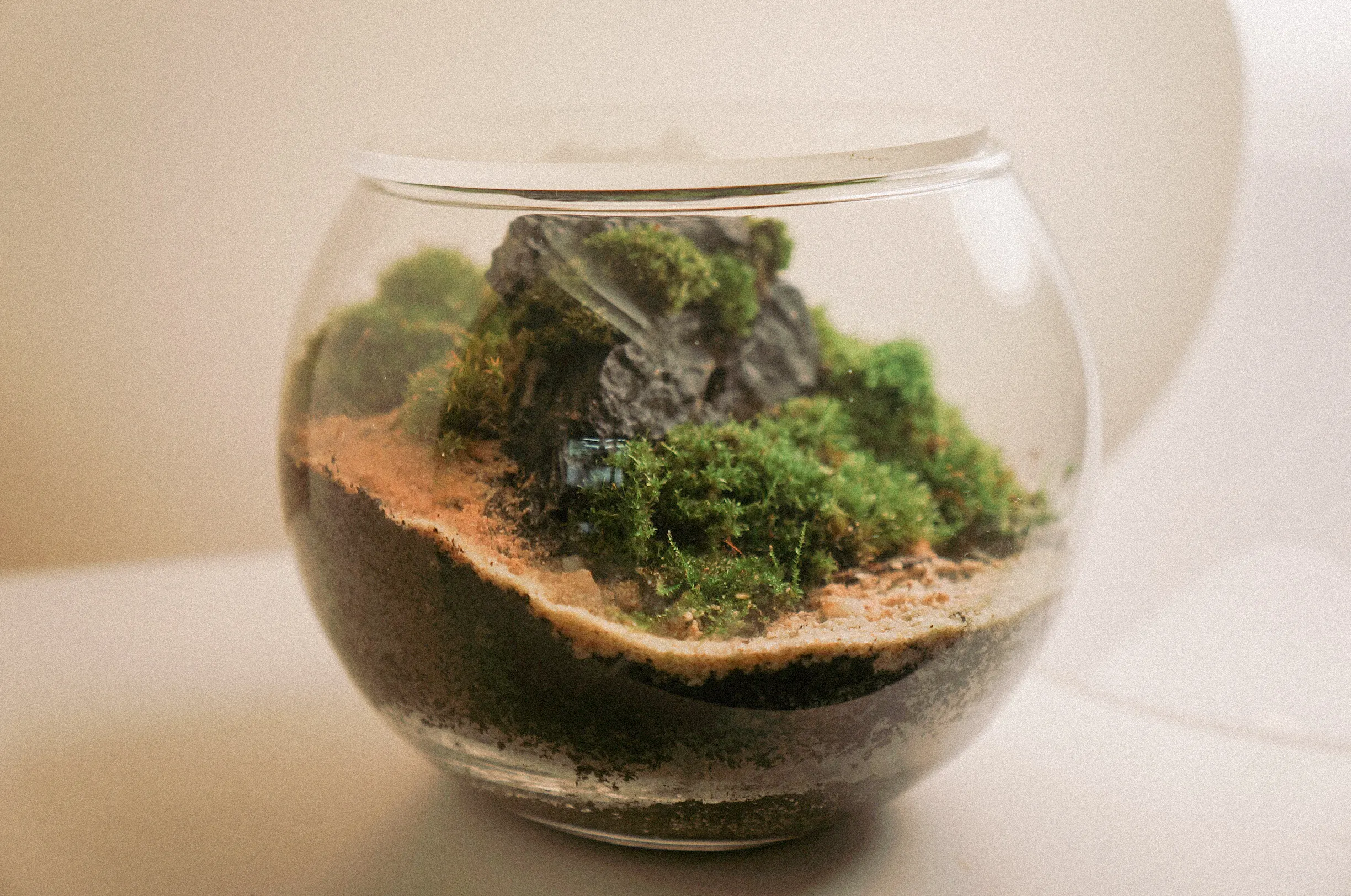 MoCAF: The Christmas Edit! Brings Fresh And Fun Artistry To The Holidays